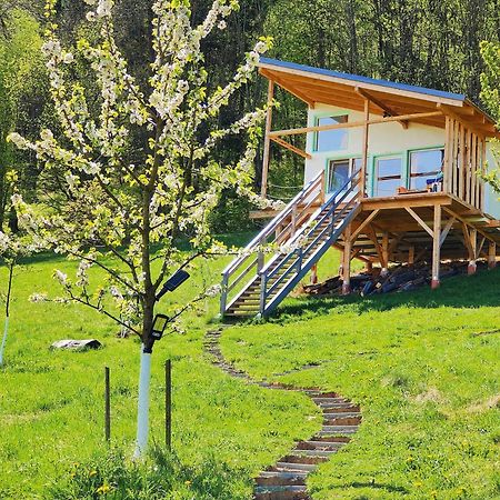 Rainbow Chalet Bran  Eksteriør billede
