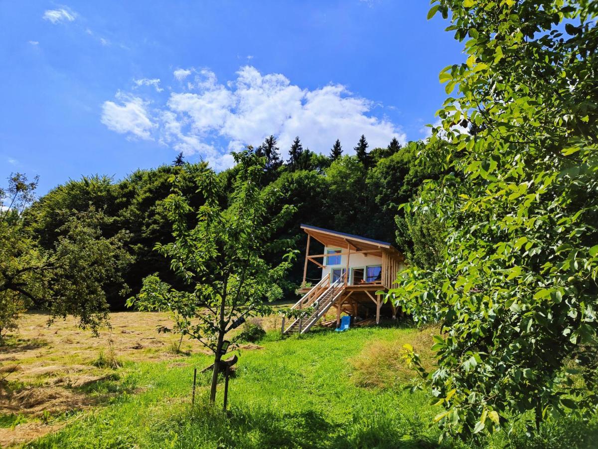 Rainbow Chalet Bran  Eksteriør billede