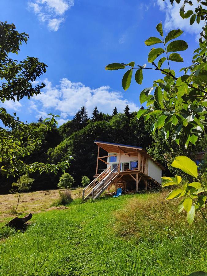 Rainbow Chalet Bran  Eksteriør billede