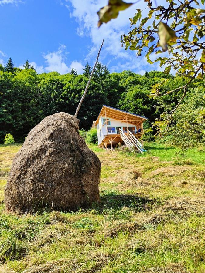 Rainbow Chalet Bran  Eksteriør billede
