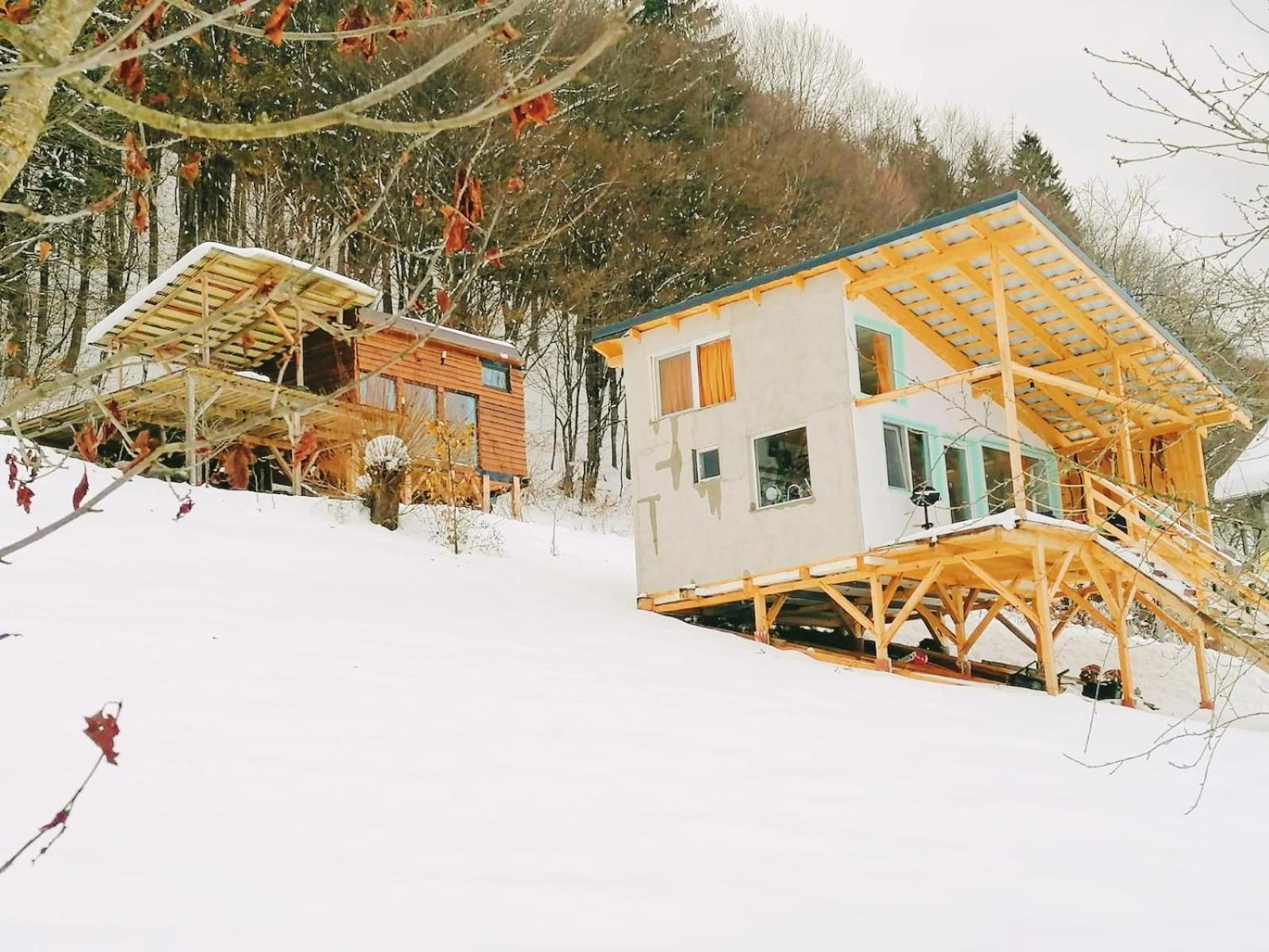 Rainbow Chalet Bran  Eksteriør billede
