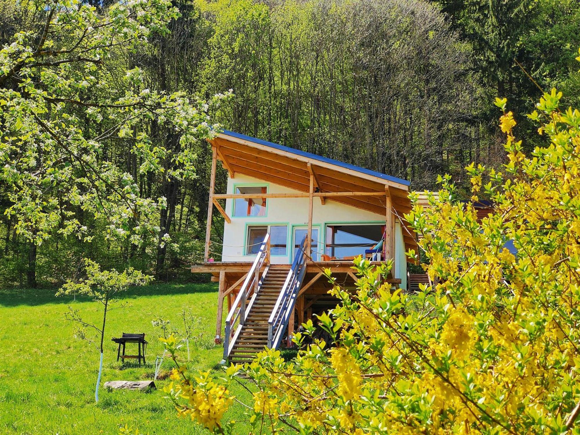 Rainbow Chalet Bran  Eksteriør billede