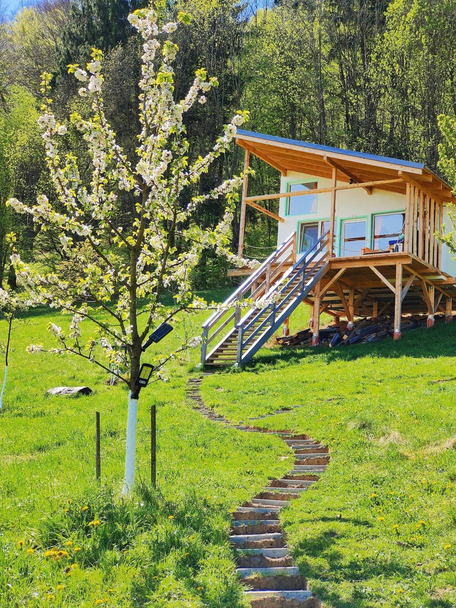 Rainbow Chalet Bran  Eksteriør billede
